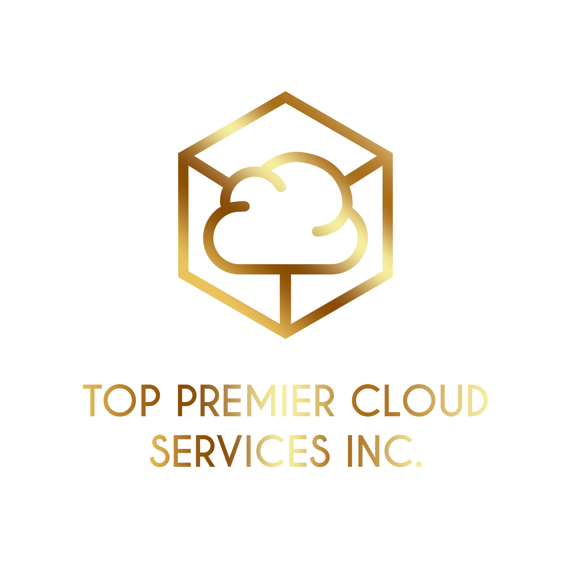 Top Premier Cloud