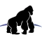 IT Gorilla